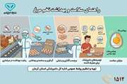 اینفوگرافی:راهنمای سلامت و بهداشت تخم مرغ